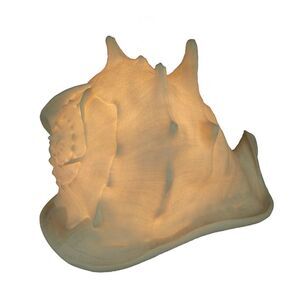 White Faux Helmet Shell Decorative Coastal Art Accent Lamp